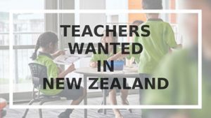 teachers in new zealand